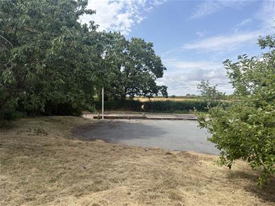 Picture 5